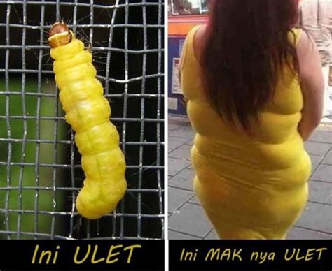 Click to see our best video content. Pin oleh Intan Mahsuri II di lucu | Humor lucu, Lucu, Gambar lucu