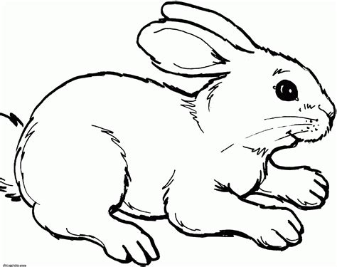 Lapin animal peinture dessin art. Dessin De Lapin à Imprimer Cool Stock Coloriage Lapin ...