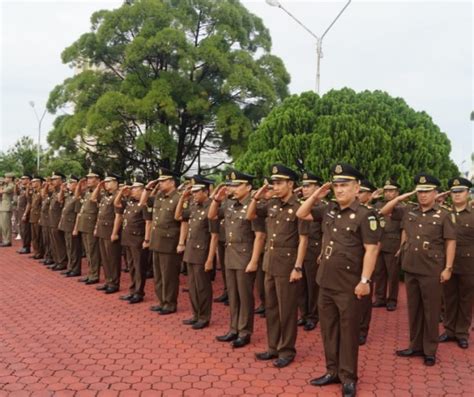 Kini cara pendaftaran cpns kejaksaan agung langsung kepada jaksa agung muda pembina u.p kepala biro kepegawaian kejaksaan agung ri. Kejaksaan Terima 896 CPNS untuk Isi 24 Formasi Jabatan ...