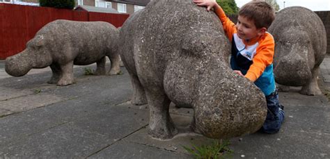 Select rating give hippopotamus statue 1/5 give hippopotamus statue 2/5 give in june of 1995 the hippo disappeared suddenly. Concrete hippopotamus mystery - The Twentieth Century Society