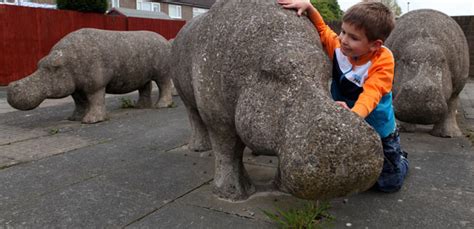 Baby hippo garden statue, concrete baby hippo, 5 baby hippo statue, garden hippo, fiona the one of the many realistic hippo statues we supply from the shed, our baby hippopotamus statue. Concrete hippopotamus mystery - The Twentieth Century Society