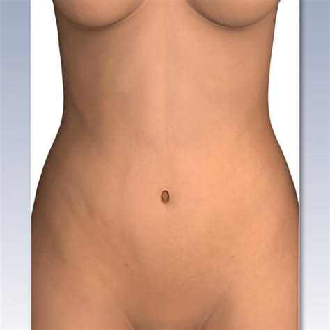 Lying exposed between the protective bones of the superiorly located ribs and the inferiorly located pelvic girdle, the muscles of this region play a critical role in protecting the delicate vital organs within the abdominal cavity. Female Abdominal Anatomy - External View - TrialExhibits Inc.