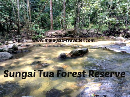 N3.3122° , e 101.6982° (hutan lipur sungai tua entrance parking and selangor forestry department site office). Clear river at Sungai Tua Recreational Forest