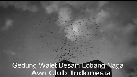 Walet merupakan salah satu species burung yang memiliki nilai ekonomis terutama sarang yang dihasilkan dari air liurnya. 90+ Galeri Desain Rumah Walet Lubang Naga Terlengkap ...