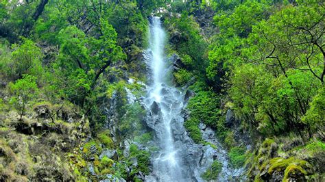 Membuat kerajinan pigura unik dari batu kerikil. Gunung Puntang, Liburan Sambil Berkemah! - LiburMulu.Com