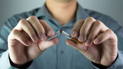 Meaning of cessation in english. Tobacco Cessation - Services for Students - Magers Health ...