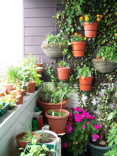 A diy vertical garden uses the latest gardening technology, such as hydroponics, or simple diy vertical garden guide. DIY Balcony Vertical Garden Ideas | Växter, Trädgård, Krukor