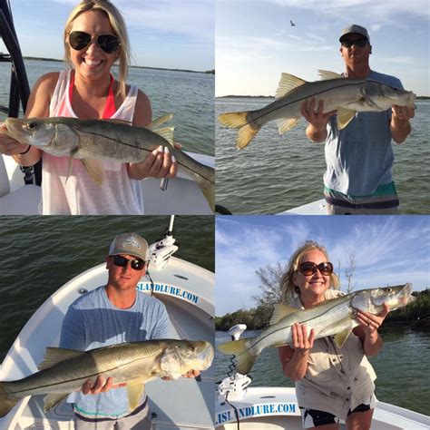 My name is captain matt luttmann. Tampa Bay Inshore Snook Fishing | Fishing Charters St ...