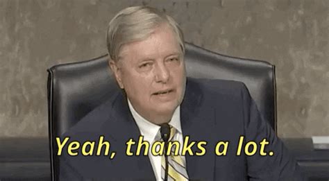 On this date in 2014, 2015, 2016, as well as 2017, crazy/stupid republican of the day published profiles of u.s. Lindsey Graham GIF by GIPHY News - Find & Share on GIPHY