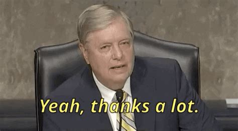 As chairman of the senate judiciary committee, south carolina sen. Lindsey Graham GIF by GIPHY News - Find & Share on GIPHY