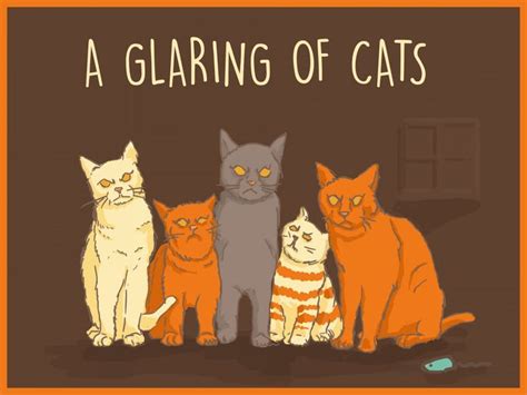 The usual word that's given as the collective term for a group of cats is clowder. 14 Funny and Weird Collective Nouns from the English ...