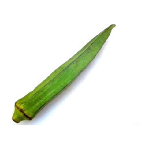 Its use to boost sexual vigour and reduce excess menstrual blood. Lady Finger in Chennai, Tamil Nadu | Suppliers, Dealers ...