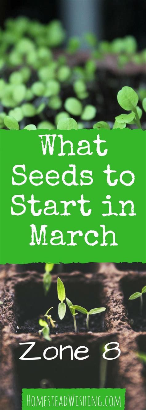 Browse zone 8 gardening on houzz. What Seeds to Start in March | Zone 8 Gardening | Organic ...