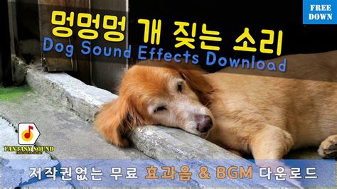 Read more about wrath dog sound effect. 멍멍멍 개 짖는 소리 , Dog Sound Effects Download by 판타지사운드 Fantasy Sound | Free Download on Hypeddit
