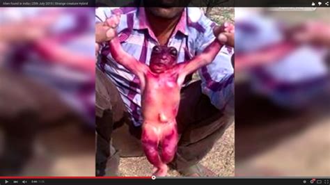 Cheating housewife caught on tape 14 min. Watch Video: Strange Creature Caught on Camera in Jodhpur ...