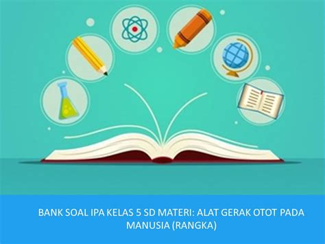 Diantara dua tendon terdapat bagian pusat otot yang dinamakan belli. BANK SOAL IPA KELAS 5 SD MATERI: ALAT GERAK OTOT PADA ...