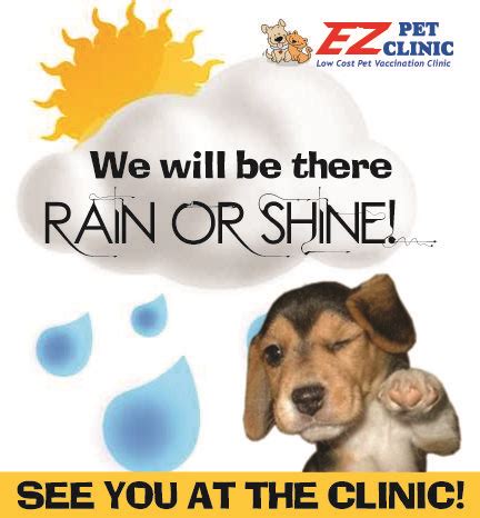 Affordable, low cost veterinary services. About - EZ Pet Clinic