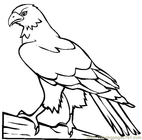 Easy free wolf coloring page to download. Hawk Coloring Page for Kids - Free Hawk Printable Coloring ...