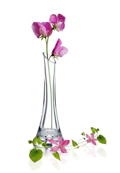 Maybe you would like to learn more about one of these? Single Stem Vase 20cm