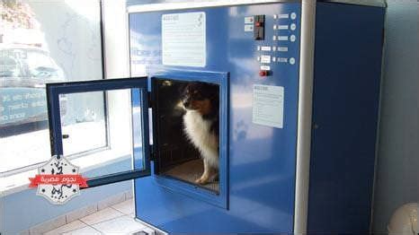 Do not bleach and do not use detergents with bleaching additives. Automated Dog Bath Vending Machine : VendingMachinePorn