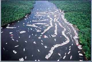 Occultist can move backliners out of position. Boats lined up at the Party Cove at the Lake of the Ozarks ...