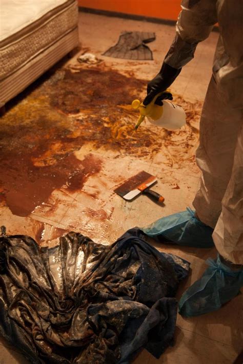 The have a library of cases and a online channel. NSFW: The Shocking Reality of Crime Scene Cleanup | True ...