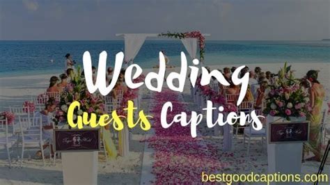 Wedding captions for guests : 31+ Funny Wedding Captions for Guests Picture Album 2019
