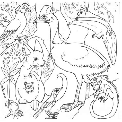 A short, printable book about african animal early readers. Amazon Rainforest Coloring Pages at GetDrawings | Free ...
