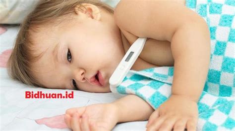 6 Manfaat Buah Naga Untuk Ibu Hamil Dan Kesehatan Bayi ...