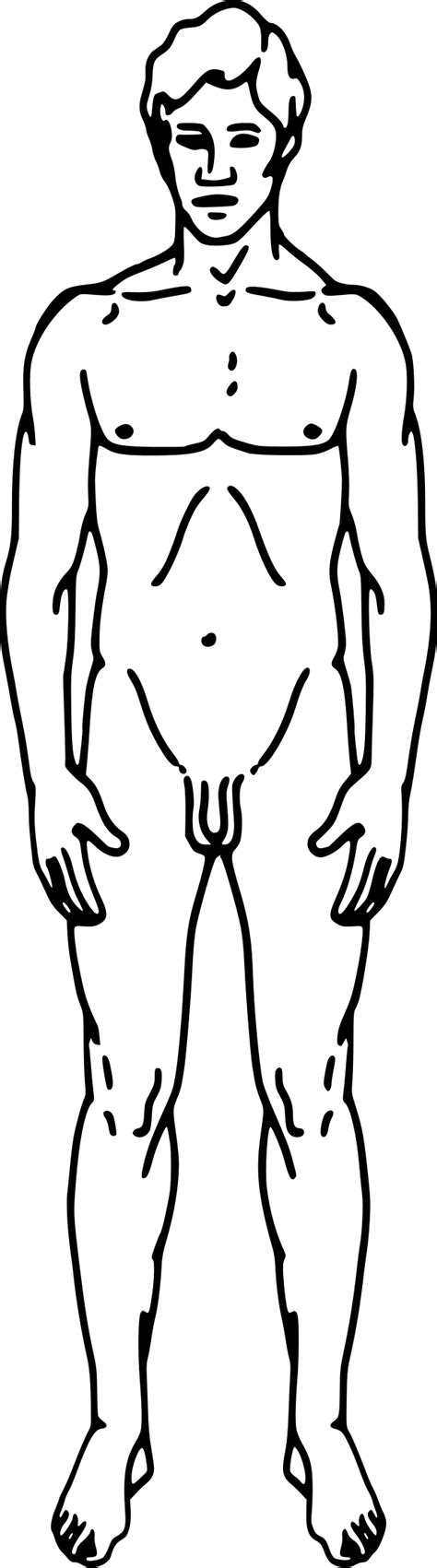 The part appears to be floating because all the supports and contacts with other such a diagram of the body in which the body under consideration is freed from all the contact surfaces and shows all the forces acting on it, is. File:Pioneer plaque man as diagram template.svg ...