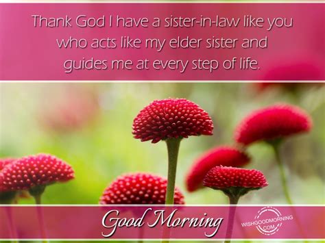 Even though you have different. Good Morning Wishes For Sister In Law Pictures, Images