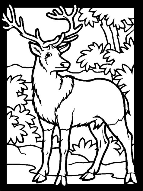 This new printable coloring page for adults features a gorgeous fantasy deer who is ready to get colored. Printable Deer Coloring Pages - Coloring Home