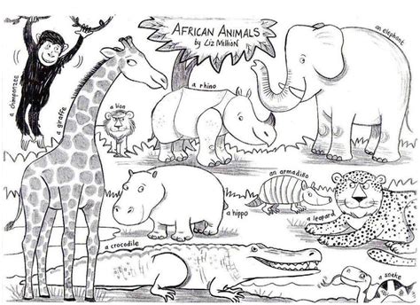 Download african animal species coloring sheet