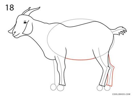 Maybe you would like to learn more about one of these? How to Draw a Goat | Goats, Drawings, Herbivorous animals