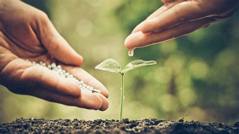 Sie haben keinen zutritt zu meinem inneren, sicheren ort. Der innere Garten | Rubikon