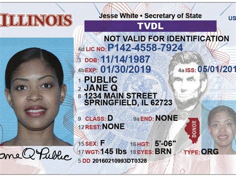 Chicago Drivers License Requirements - litbrown