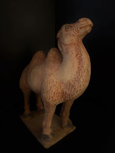 Once in the exhibit, imperil tombs of china. Camel of Bactria with TL - Tang dynasty, China - H. 28.5 ...