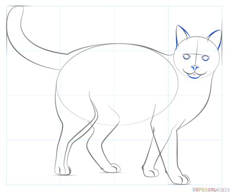 How to draw a realistic puma, mountain lion, step by step, drawing guide, by finalprodigy. How to draw a Realistic Cat | Step by step Drawing ...