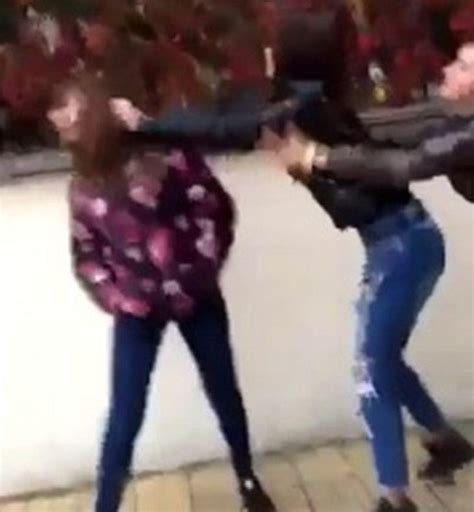 Ученички се бият като хамали край Кюстендил - ПЕРИСКОП