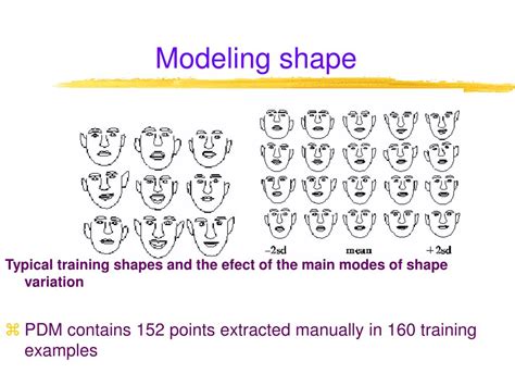 Daftar kebutuhan ini didukung, dikonfirmasi, dan diklarifikasi oleh kegiatan lain dalam fase analisis: PPT - Deformable Models (Active Shape Models for Facial Analysis) PowerPoint Presentation - ID ...