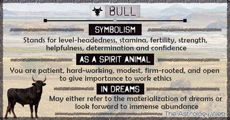 Loss of innocence, graceful passing. Spirit Animal - Bull | Spirit animal meaning, Spirit ...