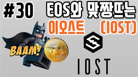 버지 verge (xvg) wordpress 결제플러그인 추가 <no.241> ( 56.18 % ). 이오스(EOS)와 맞짱뜨는 이오스트(IOST) - 강철의 암호화폐 #30 - YouTube