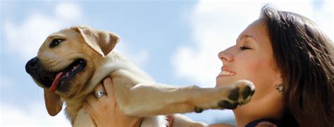 I want to let you know that if you feel lost, frustrated, or even upset about your dog's behaviour. Puppy Training - The Sydney Dog Trainer