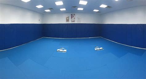 Ronin athletics gym has been a pioneer in the education and training of mixed martial arts, comprised of brazilian jiu jitsu and kickboxing in new york city since 2001. Homepage | Gracie Jiu-Jitsu NY