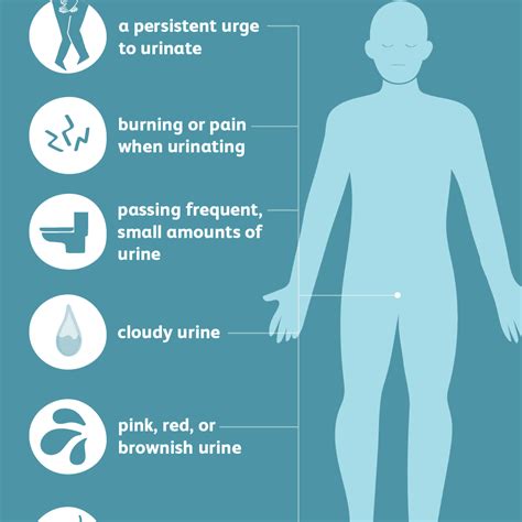 How Menopause Affects a Woman's Urinary Tract