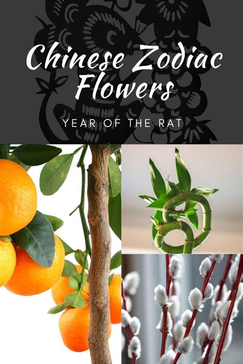 Chinese Zodiac Flowers: Lucky Flowers For Chinese Year Of ...