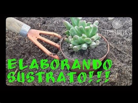 El sustrato hecho con turba es el derivado del musgo de sphagnum en diferentes estados de descomposición, en ambientes húmedos, frío y poco aireados. Como hacer sustrato para cactus y suculentas || Lembranzas ...