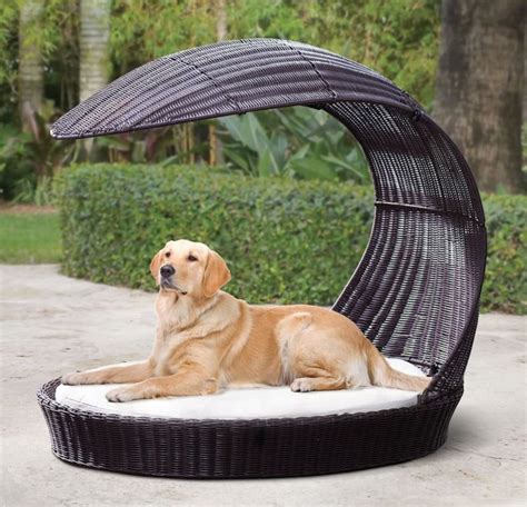 Bunk bed canopies canopy bed curtains queen canopy bed. Luxury Outdoor Canine Furniture : dog lounge
