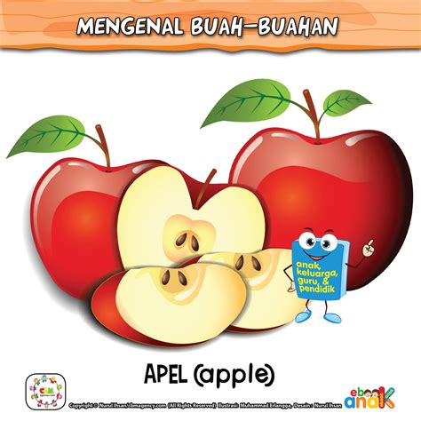 Gambar buah apel gambar via kalimantanpers.co.id. 190 Gambar Ilustrasi Buah Apel | Gambarilus