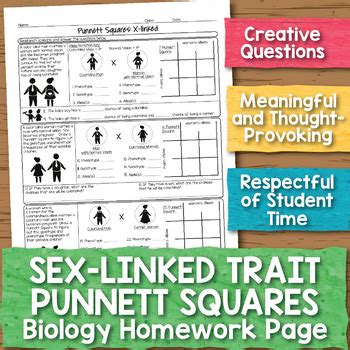 Types of chemical bonds worksheets answer key. Sex-linked Trait Punnett Squares Biology Homework Worksheet | TpT